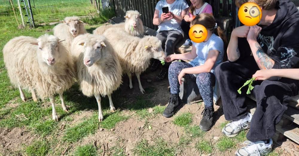 Bild9