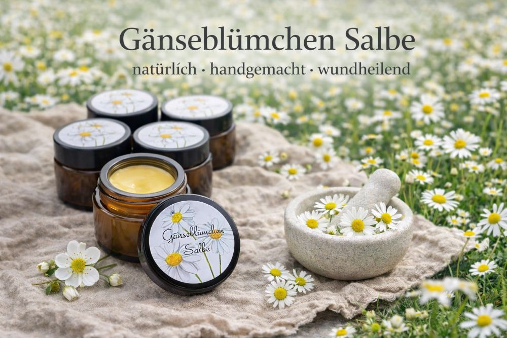 Etsy Gänseblümchen