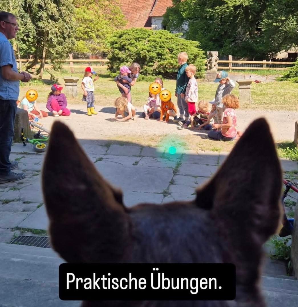 Heinigen4